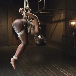 Ana Foxxx に 'Kink' Extreme Orgasms (サムネイル 4)