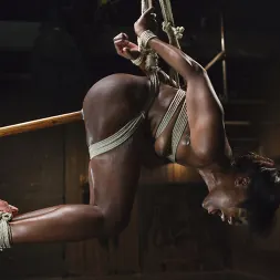 Ana Foxxx に 'Kink' Extreme Orgasms (サムネイル 8)