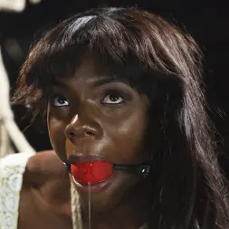 Ana Foxxx に 'Kink' Extreme Orgasms (サムネイル 11)