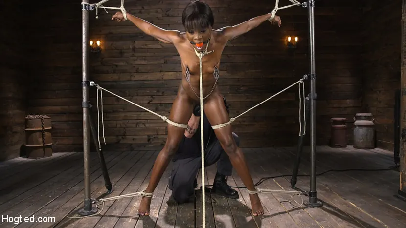 Kink 'is Racked, Bound, and Tormented' 主演 Ana Foxxx (写真 7)