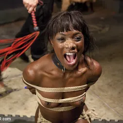 Ana Foxxx に 'Kink' アナのオルガスム否定とコントロール、3日目 (サムネイル 4)