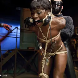 Ana Foxxx に 'Kink' アナのオルガスム否定とコントロール、3日目 (サムネイル 15)