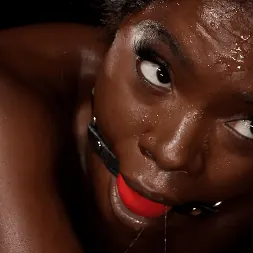 Ana Foxxx に 'Kink' Foxxxy痴女はデバイスの緊縛に苦しんでいます (サムネイル 18)