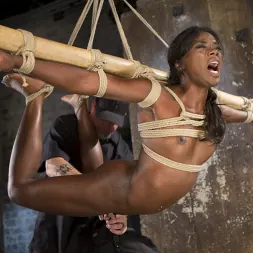 Ana Foxxx に 'Kink' 残忍なボンデージと苦しみの美しいエボニーの女王 (サムネイル 4)