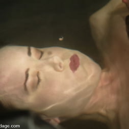 アナスタシアピアス に 'Kink' アナスタシアピアス (サムネイル 9)