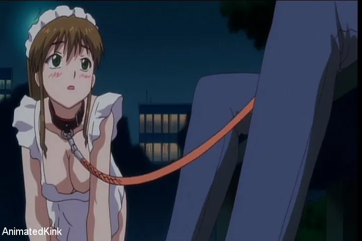 Kink 'Maid In Heaven Volume I' starring Anime (Photo 13)