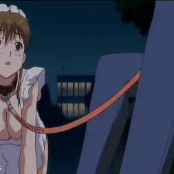 Anime in 'Kink' Maid In Heaven Volume I (Thumbnail 13)