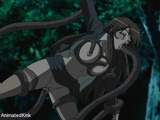 Kink 'The Night Evil Falls Volume one' starring Anime (Photo 13)