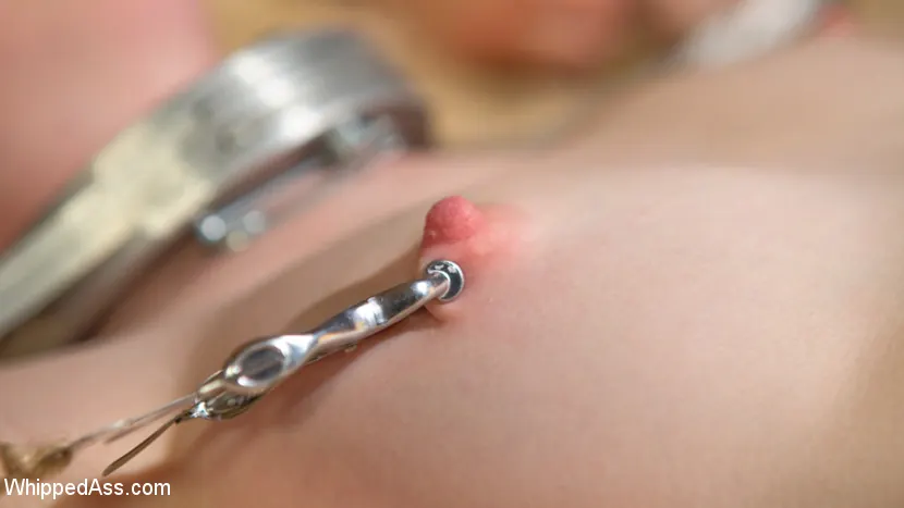 Kink 'チェリー・トーンの新しいスレーブ・ガール' 主演 Anna Tyler (写真 14)