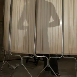 アナベル・リー に 'Kink' アナベル・リー (サムネイル 1)