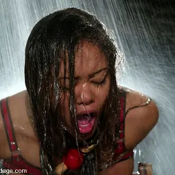 アニー・クルス に 'Kink' アニー・クルス (サムネイル 4)