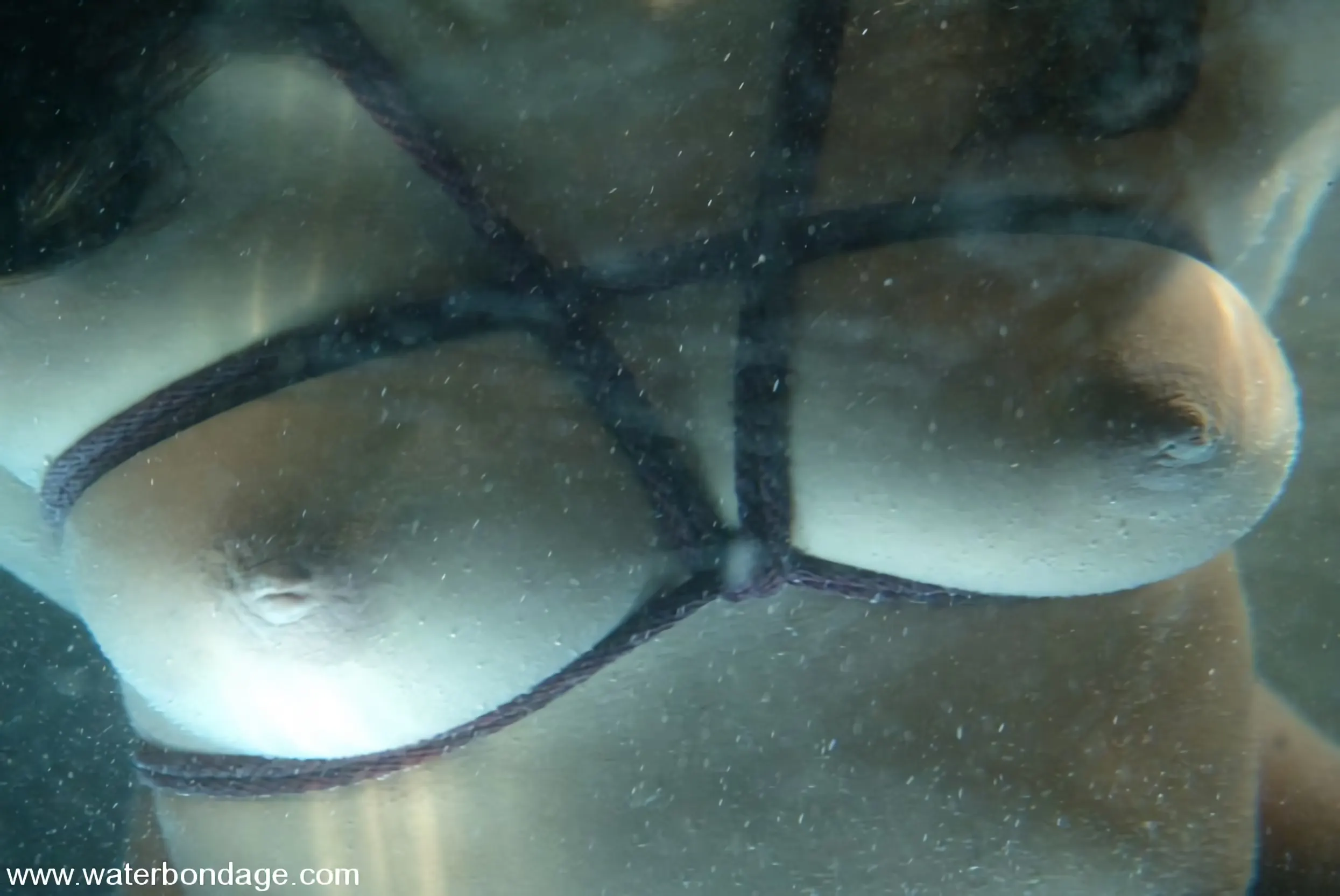 Kink 'Annie Cruz' protagonizando Annie Cruz (foto 13)