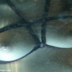 アニー・クルス に 'Kink' アニー・クルス (サムネイル 13)