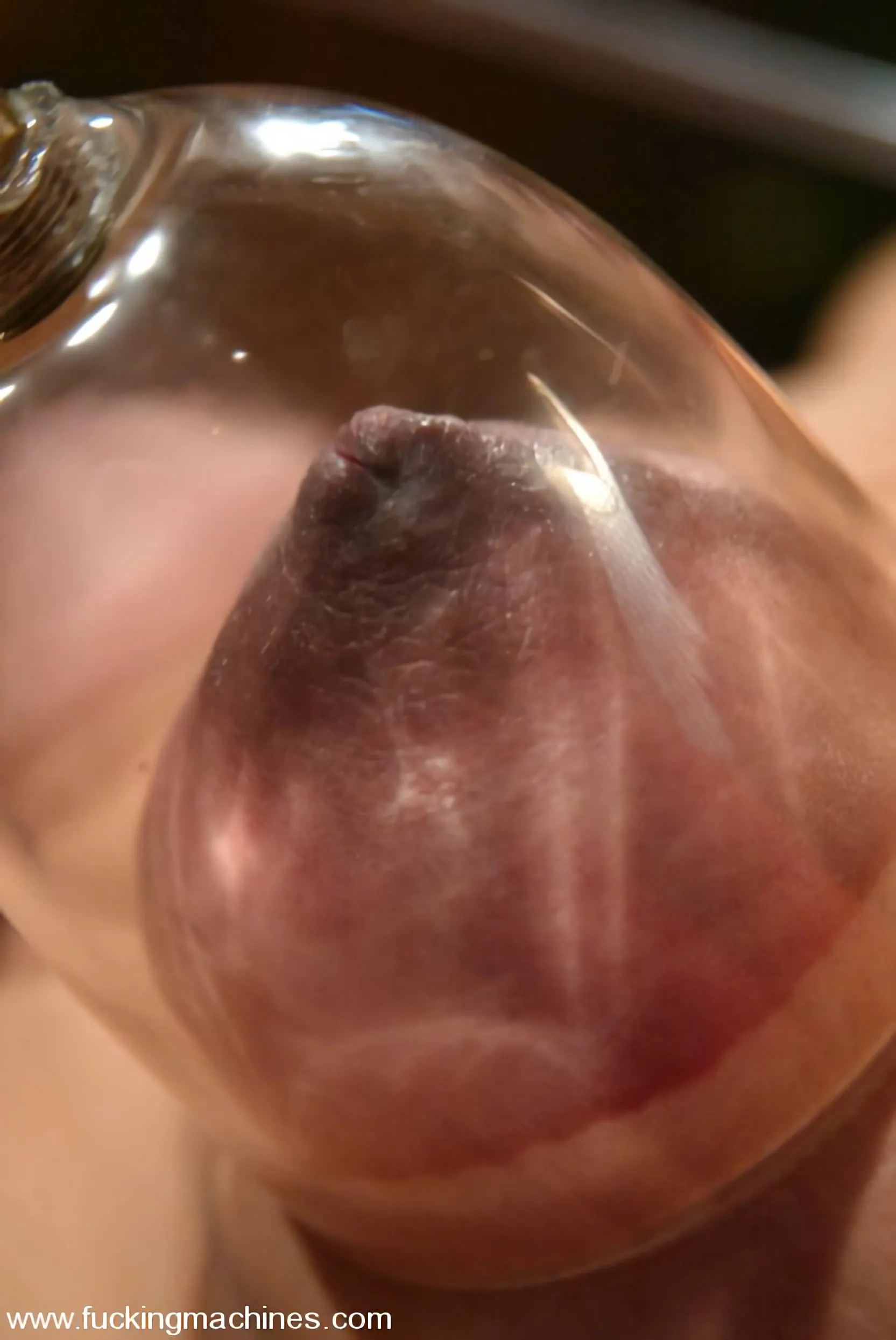 アニー・クルス に 'アニー・クルス' from 'Kink' (写真 3) Kink 'アニー・クルス' 主演 アニー・クルス (写真 3)