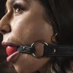 April Olsen en 'Kink' Dominated in Brutal Bondage (Miniatura 11)