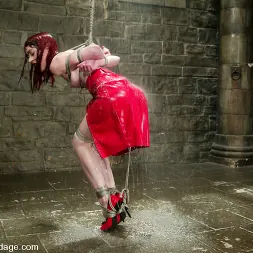 Arachnia Webb に 'Kink' Arachnia Webb (サムネイル 13)