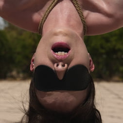 Ariel X in Coregasms (Photo 2) Ariel X in 'Kink' Coregasms (Thumbnail 2)