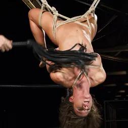 Ariel X in 'Kink' Something Familiar (Thumbnail 5)