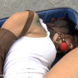 Aris Dark en Preciosa zorra española follada en un sex shop (foto 1) Aris Dark en 'Kink' Preciosa zorra española follada en un sex shop (Miniatura 1)