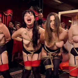 Ashley Adams in 'Kink' Hardcore Anal Celebration of Sexual Service (Thumbnail 4)
