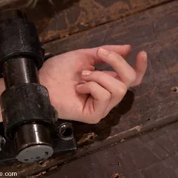 Ashley Jane in Innocence lost (Photo 10) Ashley Jane in 'Kink' Innocence lost (Thumbnail 10)