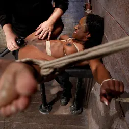 Ashley Star に 'Kink' - Ebony Body Builder - Mercilessly Dominated (サムネイル 16)