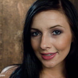 Ashli Orion に 'Kink' リトルニンコの娼婦 (サムネイル 15)