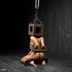 Ashli Orion in 'Kink' Head Case (Thumbnail 7)