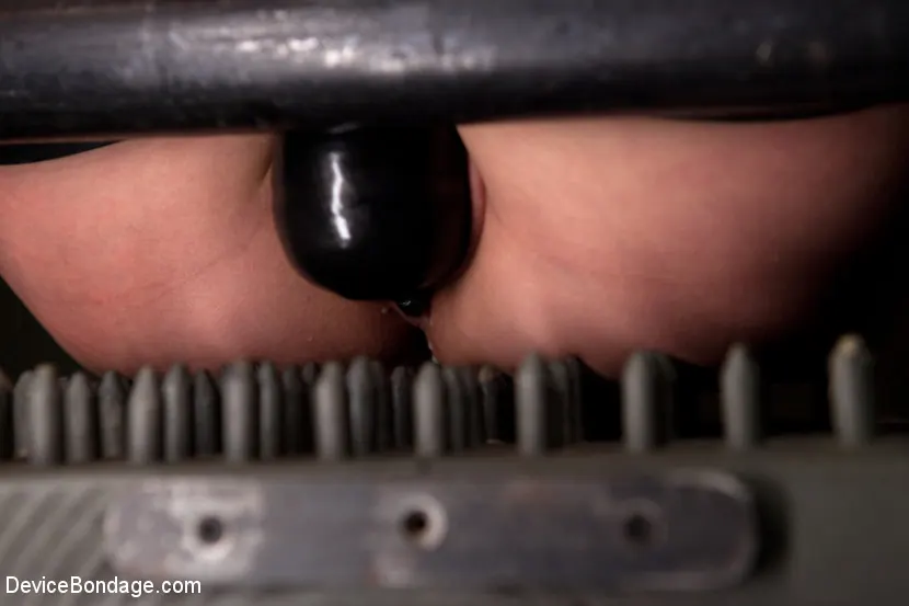 Asphyxia Noir en 'La oscura y sensual película noir de Asphyxia pone a prueba los límites de su dolor' from 'Kink' (foto 5) Kink 'La oscura y sensual película noir de Asphyxia pone a prueba los límites de su dolor' protagonizando Asphyxia Noir (foto 5)