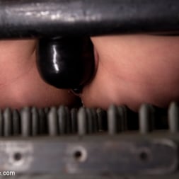 Asphyxia Noir in 'Kink' Dark and Sultry Asphyxia Noir Gets Her Pain Limits Put To The Test (Thumbnail 5)