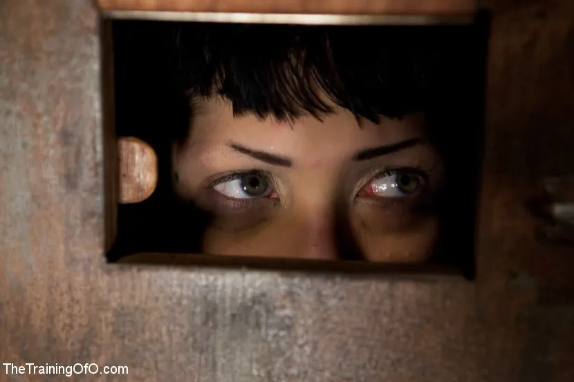 Asphyxia Noir en 'Obediencia máxima: alturas, ahogamiento y oscuridad' from 'Kink' (foto 8) Kink 'Obediencia máxima: alturas, ahogamiento y oscuridad' protagonizando Asphyxia Noir (foto 8)