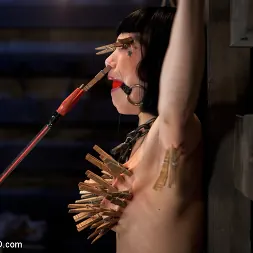 Asphyxia Noir に 'Kink' アトムブラフ (サムネイル 17)