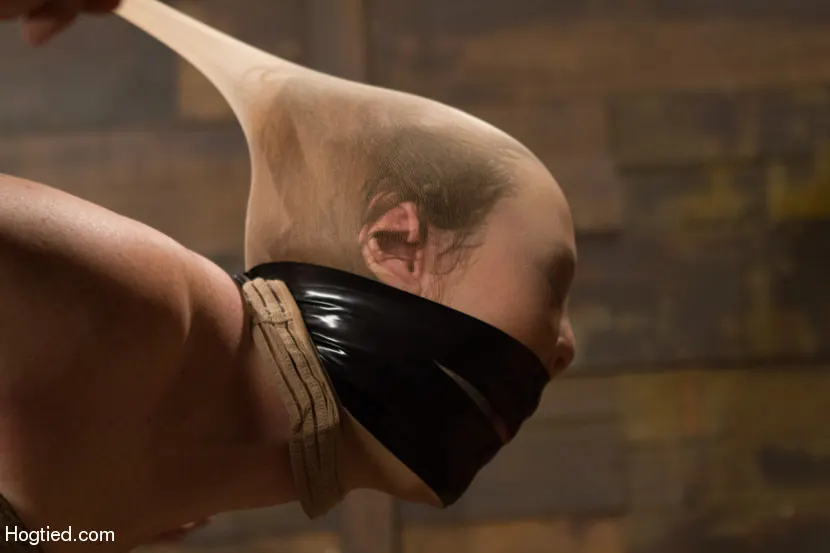 Kink '- Bitch Still Has It' 主演 Audrey Hollander (写真 7)