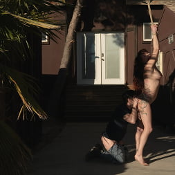 Audrey Hollander に 'Kink' 征服者 (サムネイル 3)