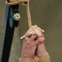 Audrey Leigh en 'Kink' and Lisa Lee (Miniatura 12)