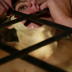 Audrey Leigh en Audrey Leigh (foto 14) Audrey Leigh en 'Kink' Audrey Leigh (Miniatura 14)