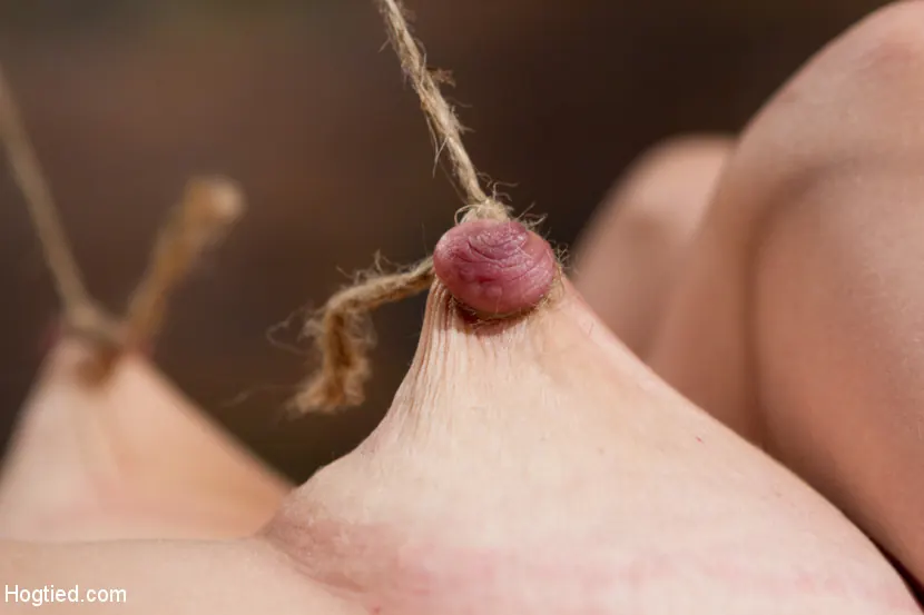 Kink 'Challenged with Tough Beam Bondage' 主演 Audrey Rose (写真 11)