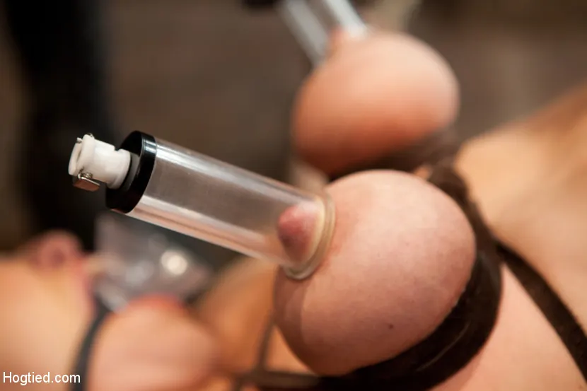 Audrey Rose に 'Live Show - Complete Edited Version' from 'Kink' (写真 5) Kink 'Live Show - Complete Edited Version' 主演 Audrey Rose (写真 5)