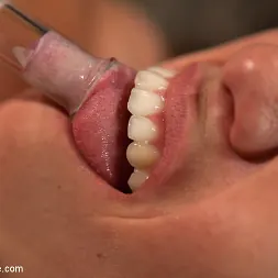 Audrey Rose in 'Kink' Up and coming bondage whole made to cum and squirt with caning and whipping (Thumbnail 15)