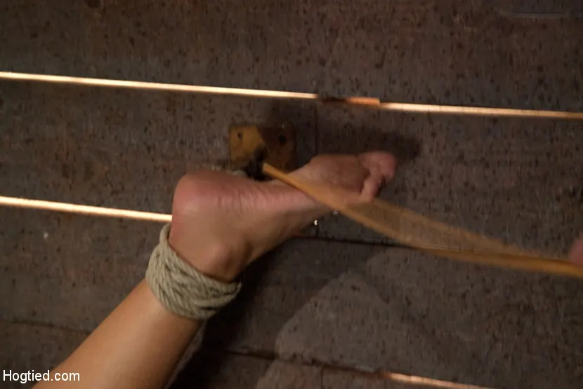 Ava Devine in 'Big Titted MILF Made to squirt all over herself' from 'Kink' (Photo 12) Kink 'Big Titted MILF Made to squirt all over herself' starring Ava Devine (Photo 12)