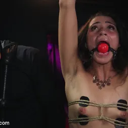 Avi Love に 'Kink' 私は私のダブルAが大好き！ (サムネイル 6)