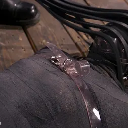 Avi Love に 'Kink' 彼女の無罪を削除する：Avi Love (サムネイル 1)