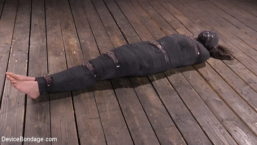 Kink 'Quitándole la inocencia: Avi Love' protagonizando Avi Love (foto 2)