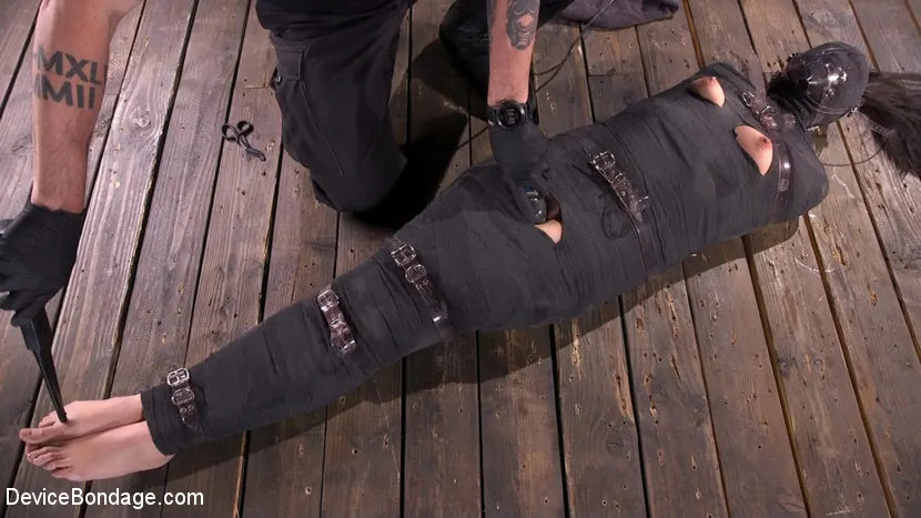 Avi Love en 'Quitándole la inocencia: Avi Love' from 'Kink' (foto 4) Kink 'Quitándole la inocencia: Avi Love' protagonizando Avi Love (foto 4)