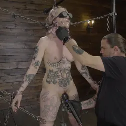 Baby Sid en 'Kink' Enjoys the Accommodations (Miniatura 3)