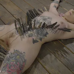 Baby Sid en 'Kink' Enjoys the Accommodations (Miniatura 11)