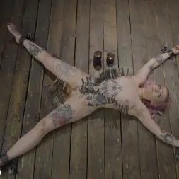 Baby Sid en 'Kink' Enjoys the Accommodations (Miniatura 14)