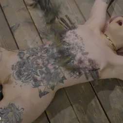 Baby Sid en 'Kink' Enjoys the Accommodations (Miniatura 18)