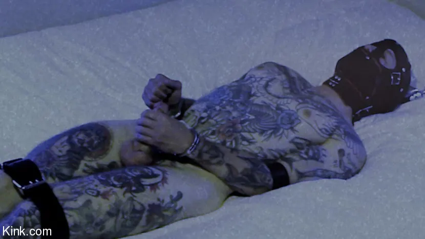 Kink 'あなたの醜い小さなコックをストロークし、私が来るのを見て' 主演 Baby Sid (写真 14)