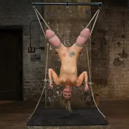 Bailey Blue en 'Kink' La mega belleza Bailey Blue (Miniatura 13)